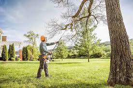 Best Tree Maintenance Programs  in Waynesville, MO